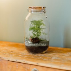 Terrarium, um sich mit...