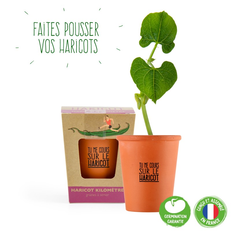 Kit de plantation "Tu me cours sur le haricot"