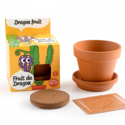 Graines de Fruit du dragon à faire pousser Kit plantation 8 cm