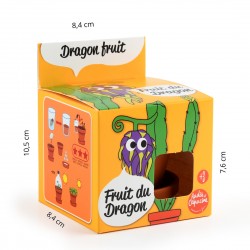 Graines de Fruit du dragon à faire pousser Kit plantation 8 cm