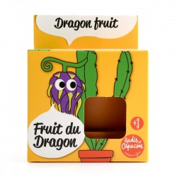 Fruit seeds of the dragon to grow Kit plantation 8 cm