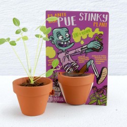 Zombie et sa plante qui pue à semer - Carte avec pot