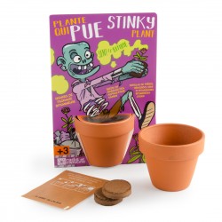 Zombie and its plant that stinks to sow - Map with pot