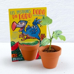 Le Dodo et sa Pastèque à semer - Carte avec pot