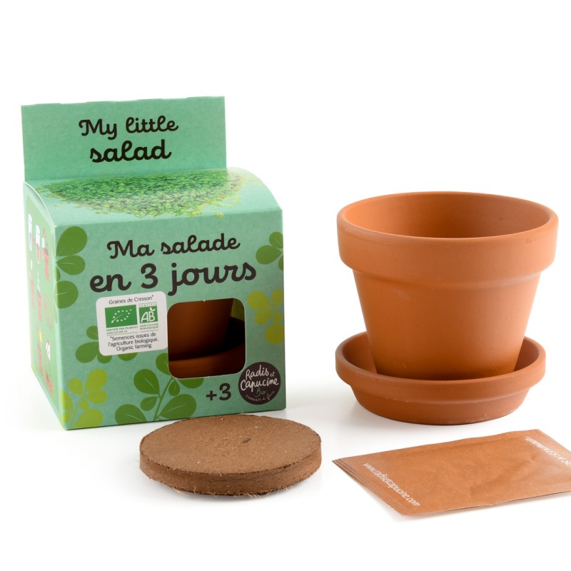 Cressonnette à faire pousser Kit plantation 8 cm