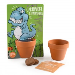 T rex dinosaur and seed carnivorous plants- Map with pot