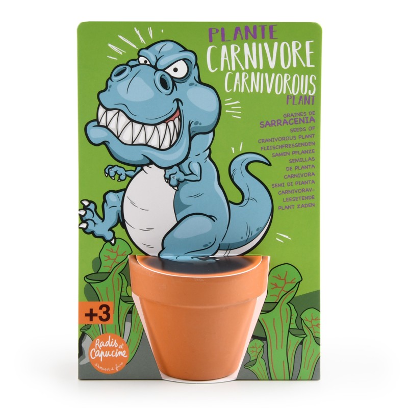 T rex dinosaur and seed carnivorous plants- Map with pot