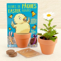 Easter Poussin and its sowing pâckers - Map with pot