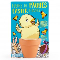 Easter Poussin and its sowing pâckers - Map with pot