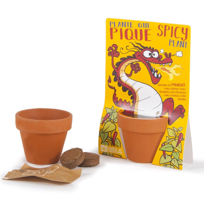 Dragon and its Sowing Piment- Map with Pot