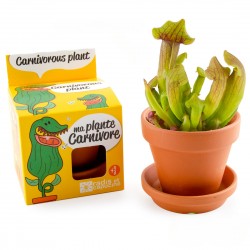 Carnivorous plant seeds to grow Kit planting 8 cm