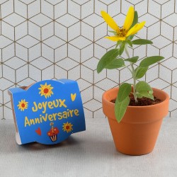 Planting Kit Nachricht "Happy Birthday" - Sonnenblume