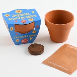 Planting Kit Nachricht "Happy Birthday" - Sonnenblume