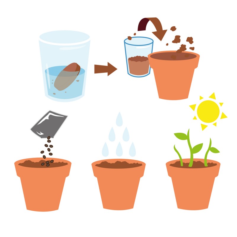 Planting Kit Nachricht "Happy Birthday" - Sonnenblume