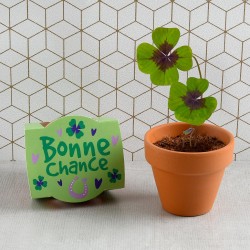 Kit de plantation message "Bonne chance" - Trèfle 4 feuilles porte bonheur à faire pousser