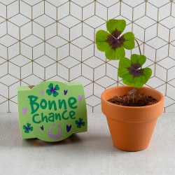 Planting Kit mensaje "Buena suerte" - Trèfle 4 hojas trae felicidad para crecer