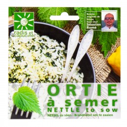 Graines d'ortie comestible à semer