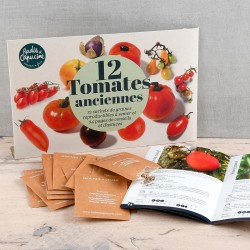 Envelope 12 bolsas Tomates...