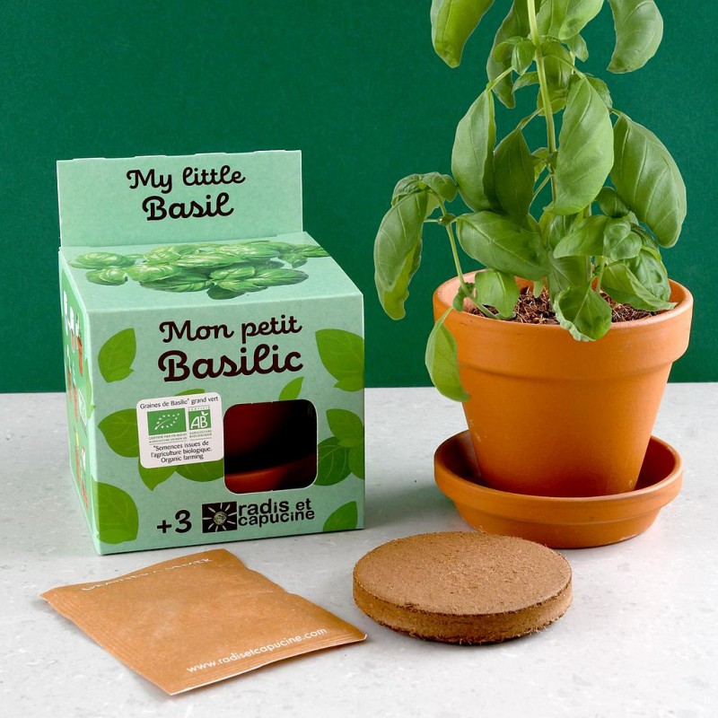 My small organic basilica to sow Child gardening kit 8 cm