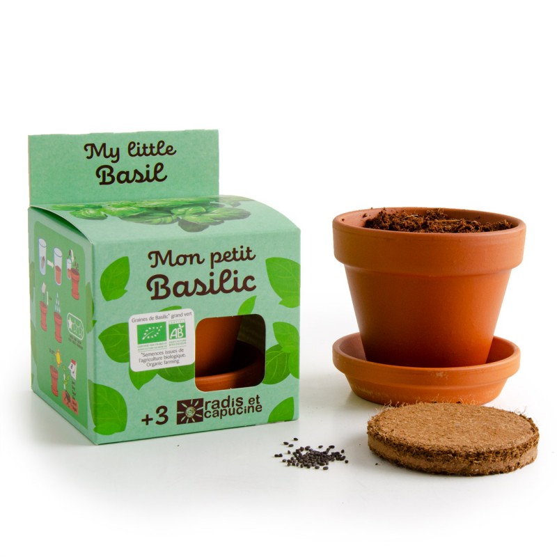 My small organic basilica to sow Child gardening kit 8 cm