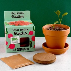 Il mio piccolo radiis organico per seminare bambino giardinaggio 8 cm