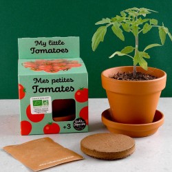 My small seed tomatoes child gardening 8 cm