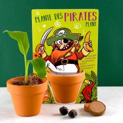Pirate et son Bananier à semer - Carte avec pot