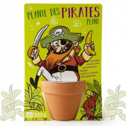 Pirate and its seed Bananier - Map with pot