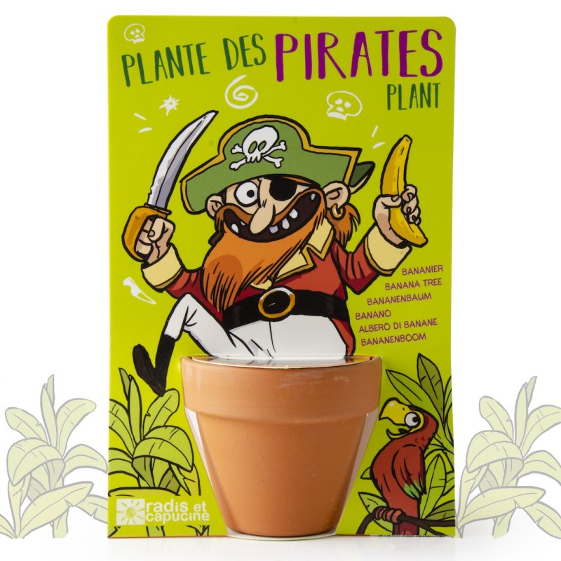 Pirate et son Bananier à semer - Carte avec pot