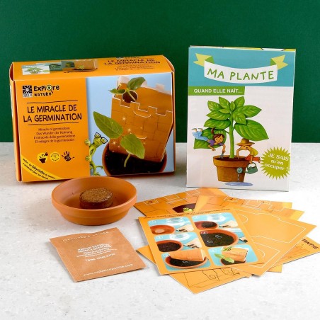 Kit de découverte Miracle de la germination