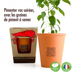 Kit de plantation message "Soirée épicée" - Piment à semer