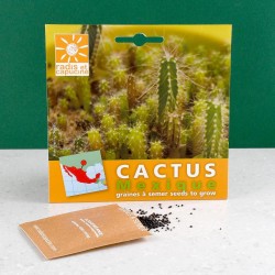 Graines de Cactus à semer...