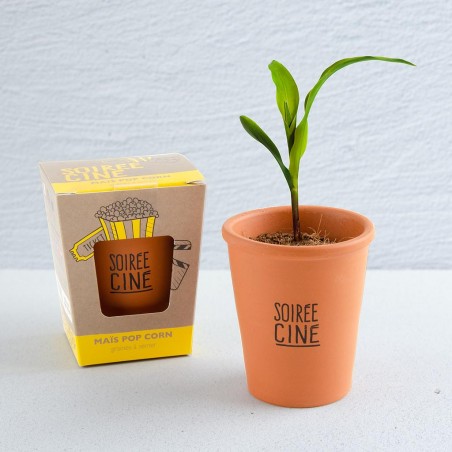 Kit de plantation avec message "Soirée ciné" - Maïs pop corn à semer