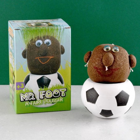 Mr FOOT tête a pousser