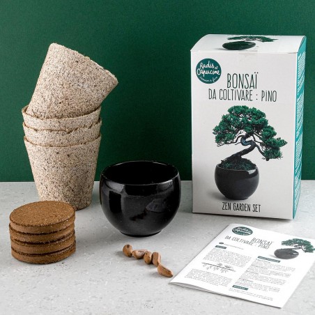 Coffret de culture Bonsaï avec pot