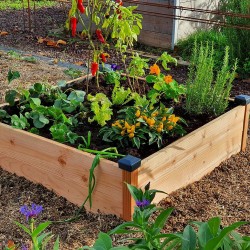 Scolaire - Potager en bois...