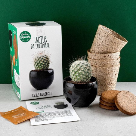 Coffret de culture cactus avec pot