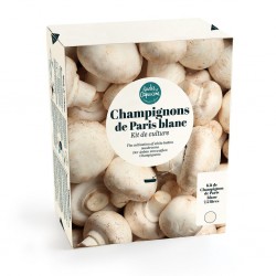 Champignons de Paris Blanc...