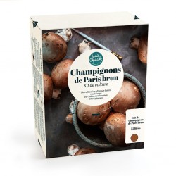 Champignons de Paris Brun -...