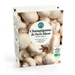 Kit champignons de Paris...