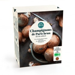 Kit Champignons de Paris...