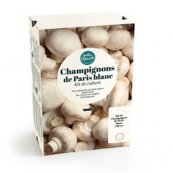 Champignons de Paris Blanc...