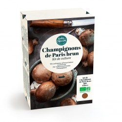 Kit Champignons de Paris...