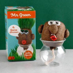 Mr GREEN sur vase