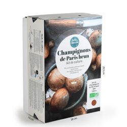 Kit Champignons de Paris Brun Bio 4L