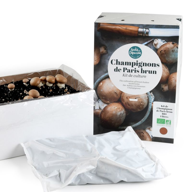 Kit Champignons de Paris Brun Bio 4L