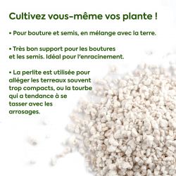 Perlite 6.5 L Tasche600g