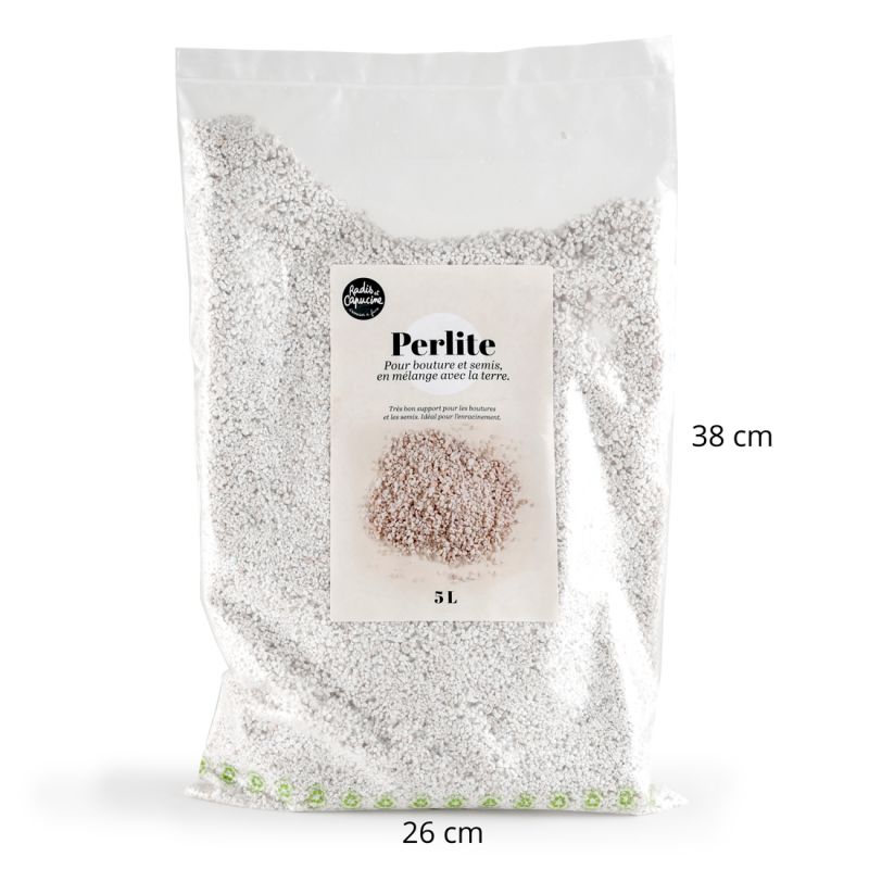 Perlite Bag of 6.5 L600g