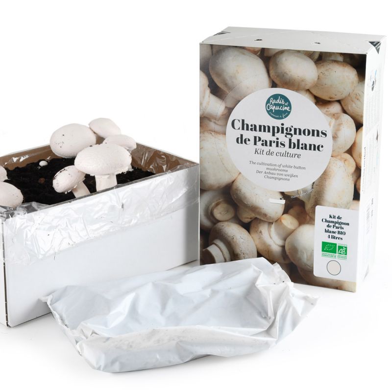 Kit Champignons de Paris Blancs Bio 4L