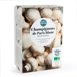 Kit Champignons de Paris Blancs Bio 4L